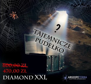 Tajemnicze Pudełko Pajak + DIAMOND XXL