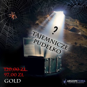 Tajemnicze Pudełko Pajak + GOLD